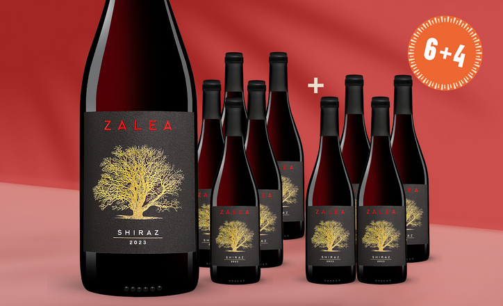 Zalea Shiraz 2023