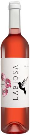Labiosa Rosado 2024