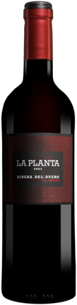 Arzuaga La Planta 2023
