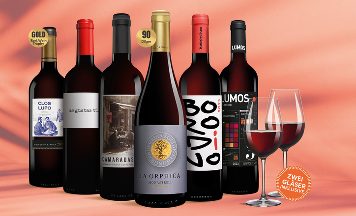 Vinos Tinto Paket