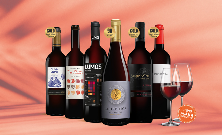 Vinos Rotwein-Vielfalt Paket