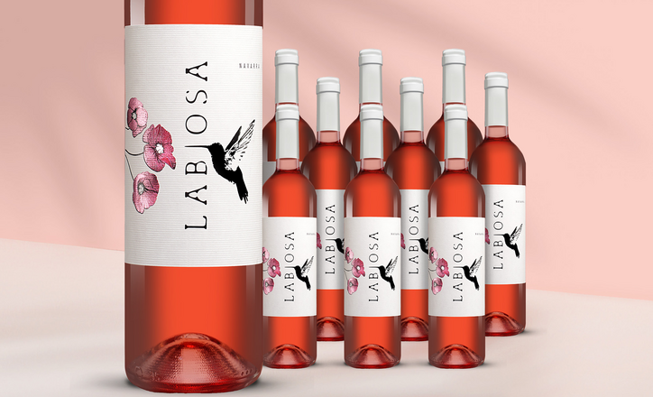Labiosa Rosado 2024