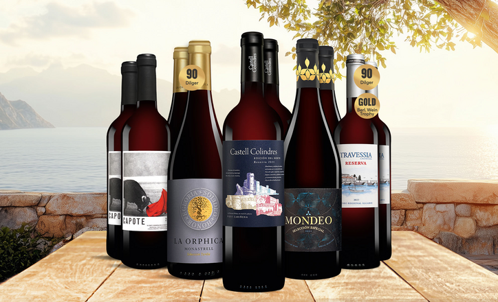 Sommer-Tinto-Paket