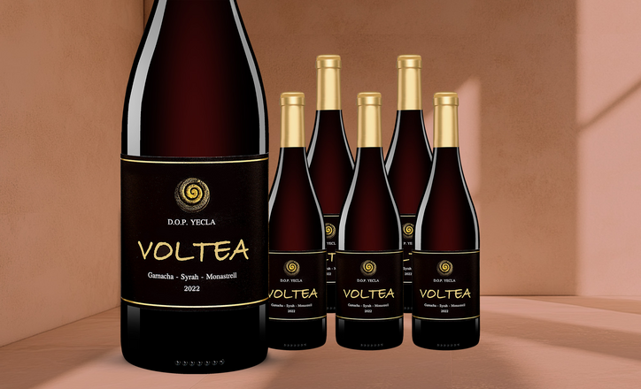Voltea GSM 2022 6er Oster-Paket