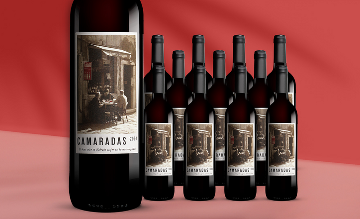 Camaradas Tinto 2024