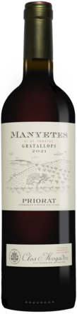 Manyetes 2021