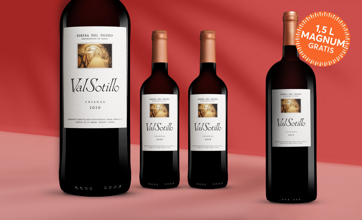 Val Sotillo Crianza 2020