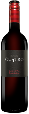 Proyecto Cu4tro 2021