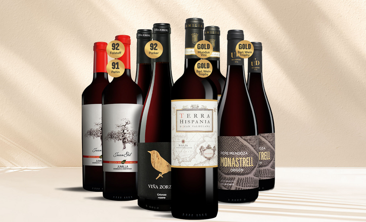 Tinto-Favoriten
