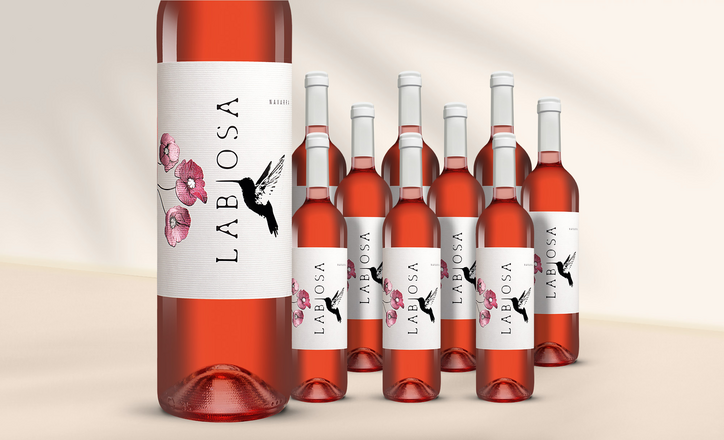Labiosa Rosado 2024