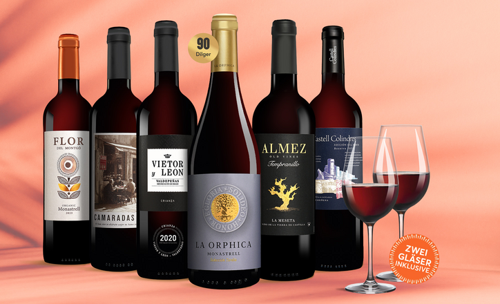 Vinos Sommer Rotwein Paket