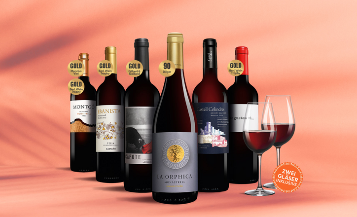 Vinos Tinto Paket