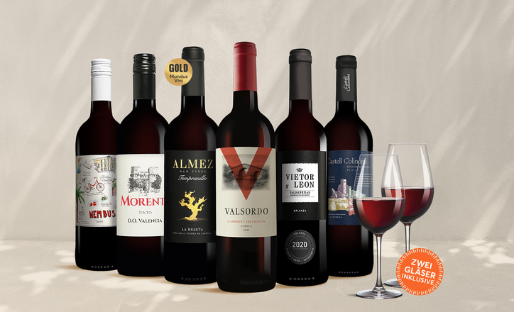 Vinos Rotwein Paket