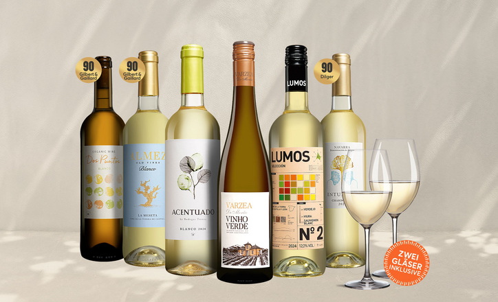 Vinos Weißwein Paket