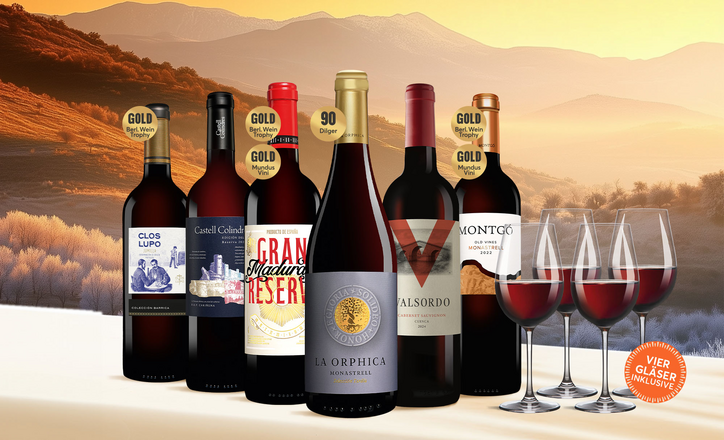 Vinos Rotwein-Vielfalt Paket