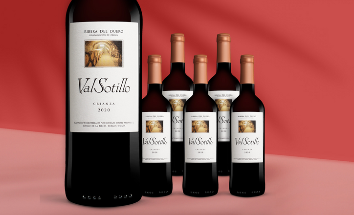 Val Sotillo Crianza 2020