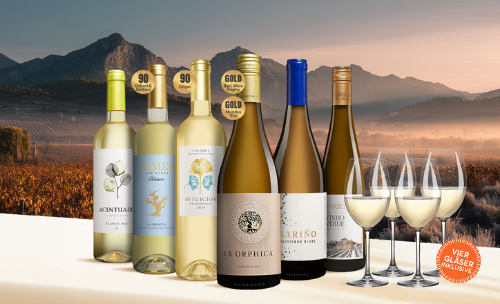 Vinos Festwein Blanco Paket