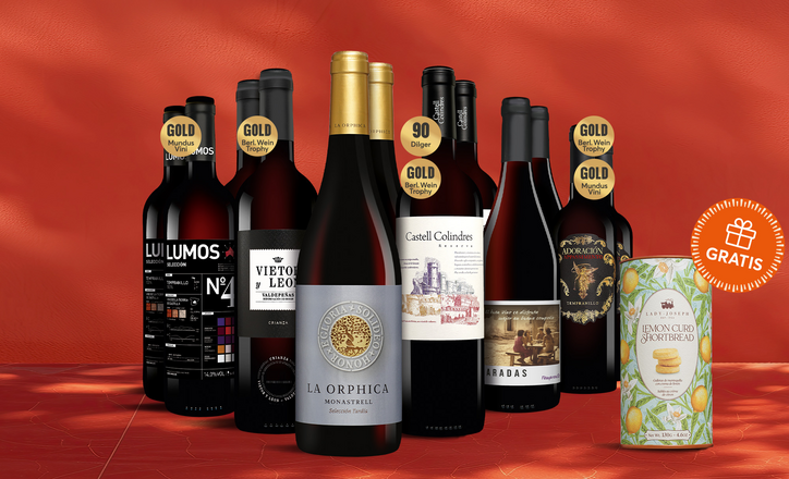 Tinto-Topseller-Paket + GRATIS Kekse