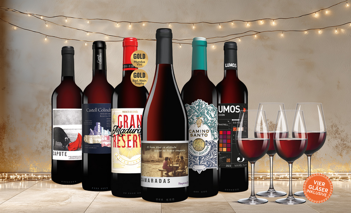 Vinos Tinto Festwein Paket
