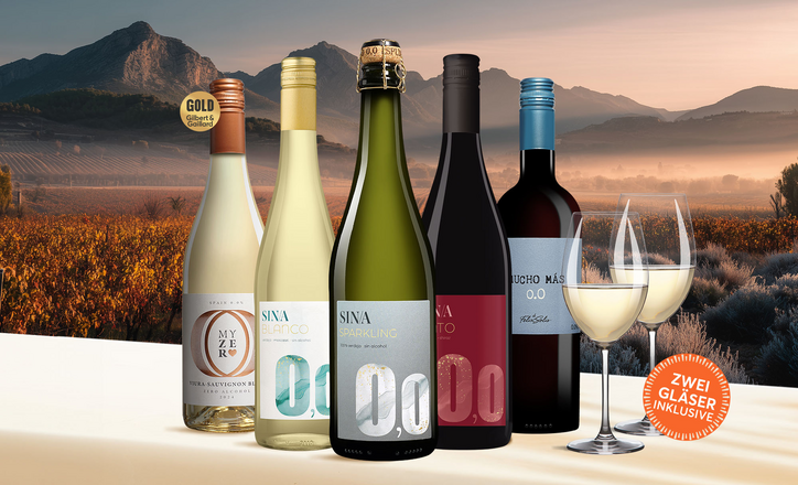 Vinos Dry January Paket