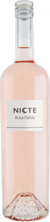 Nicte Rosado Palido 2025