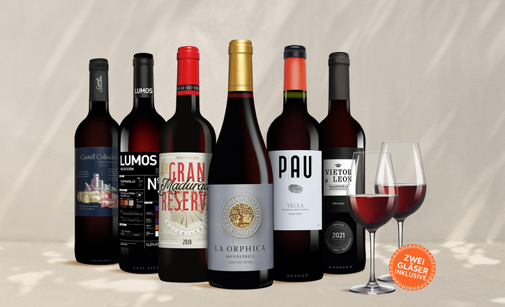 Vinos Rotwein Paket