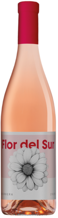 Flor del Sur Gerbera Rosé 2025