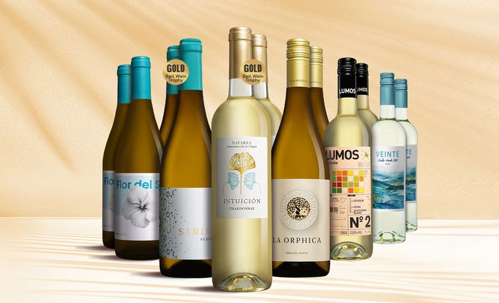 Blanco Topseller-Paket