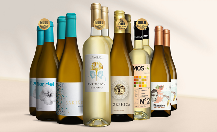 Blanco Topseller-Paket
