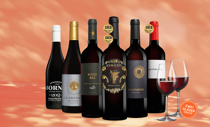 Vinos Primitivo-Stil Paket