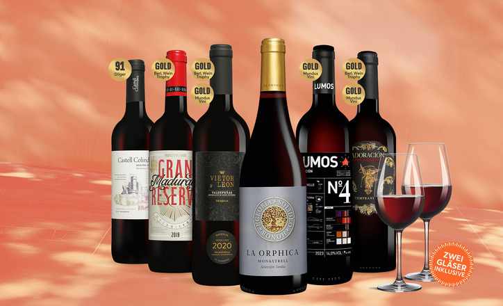 Vinos Rotwein-Favoriten Paket