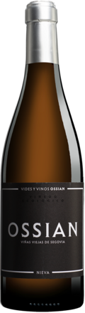 Ossian Verdejo 2023