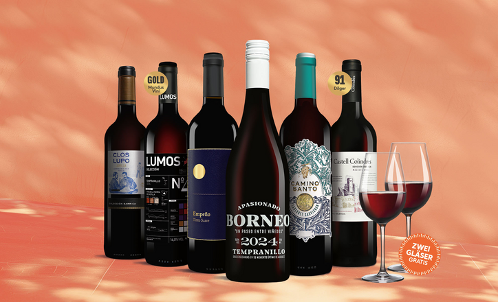 Vinos Rotwein Paket
