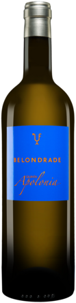Quinta Apolonia Belondrade 2025