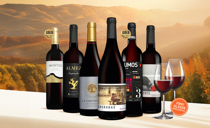 Vinos Rebsorten-Ikonen Paket