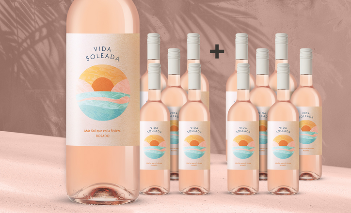 Vida Soleada Rosé 2025