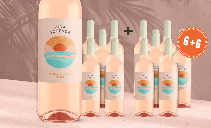 Vida Soleada Rosé 2025