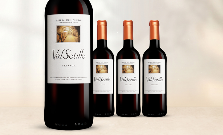 Val Sotillo Crianza 2022