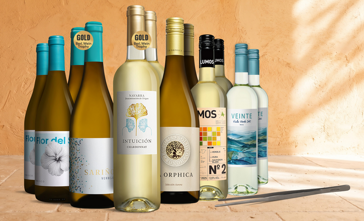 Blanco-Topseller-Paket + gratis Grillpinzette