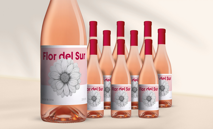 Flor del Sur Gerbera Rosé 2025