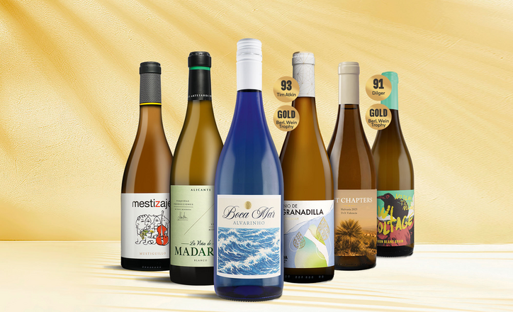 Premium-Weißwein-Paket