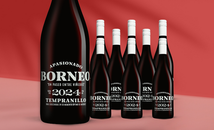 Borneo Apasionado 2024