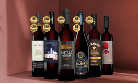Rotwein-Genießer-Paket | Vinos, Spanien-Spezialist