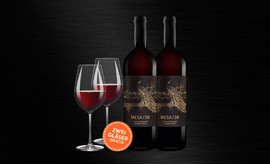 Schott Zwiesel Taste 2er-Gläserset