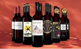 Vinos, Spanien-Spezialist | Rotwein-Genießer-Paket