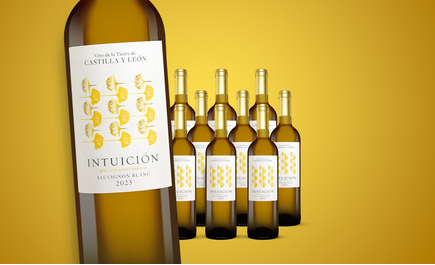 Intuición »Aniversario« Sauvignon Blanc 2023