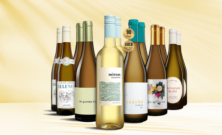 Weißwein-Vielfalt-Paket