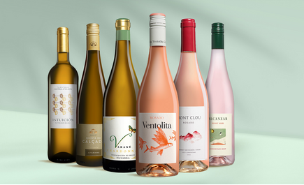 Rosé-Weißwein-Grillpaket