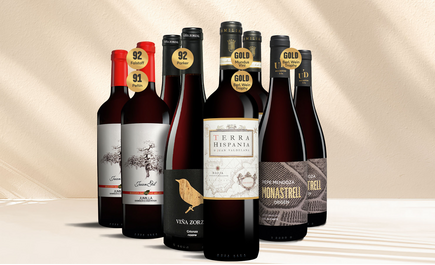 Tinto-Favoriten