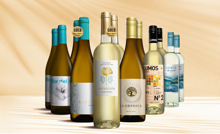 Blanco Topseller-Paket